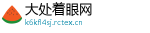 大处着眼网